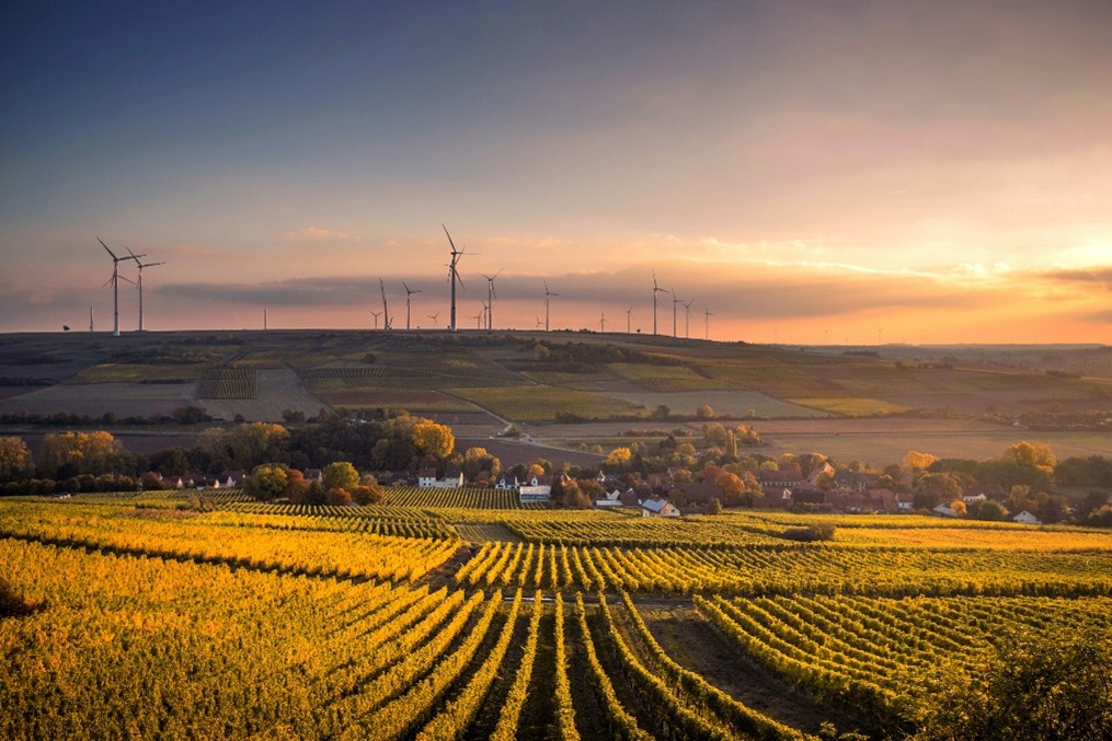 Sustainable farming